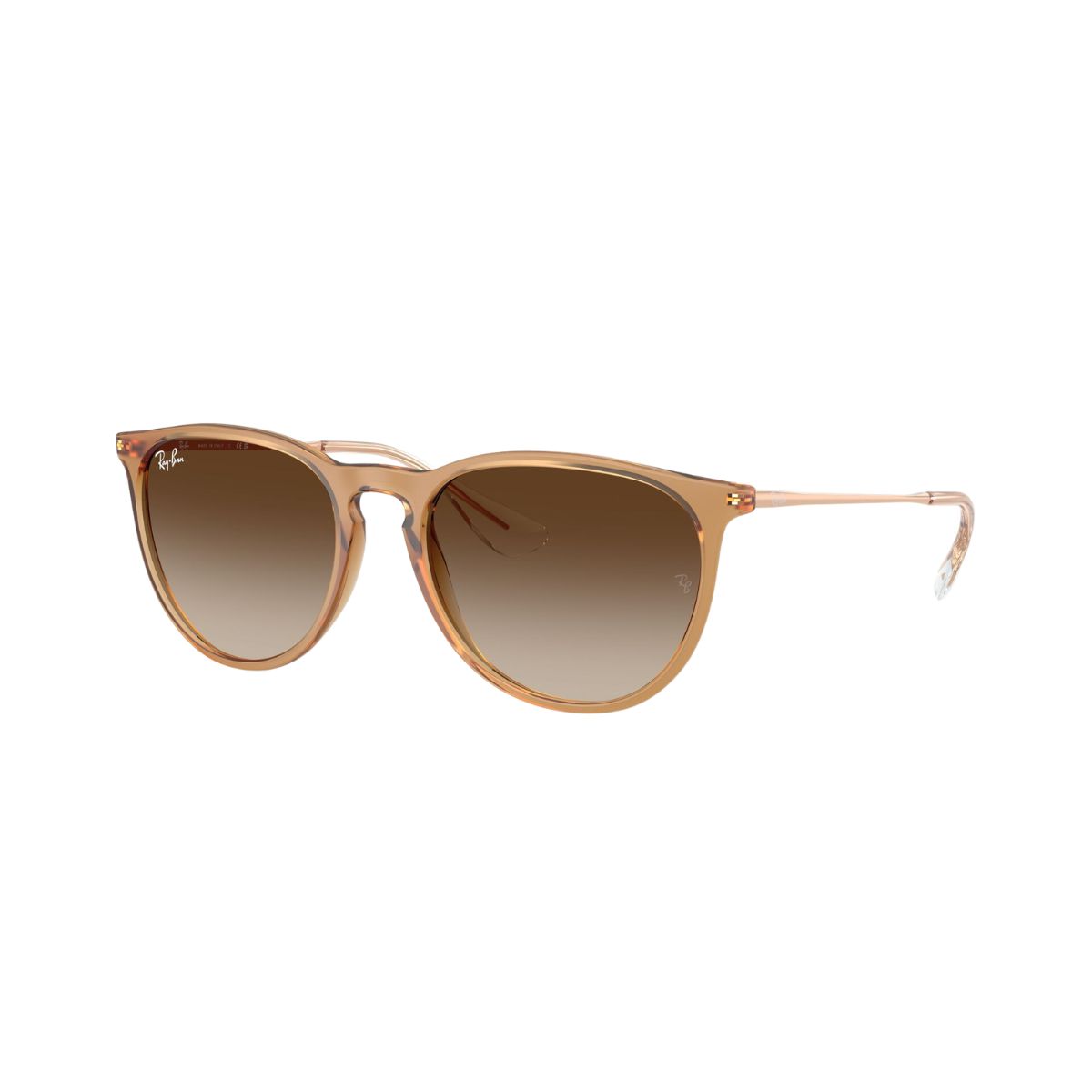 Ray-Ban RB4171 Erika 6814/13